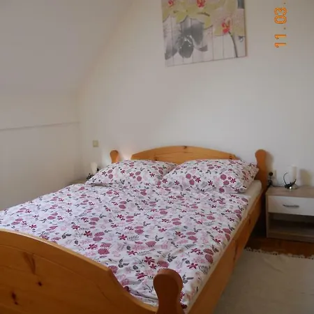 Vijolica 2