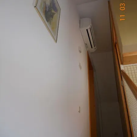 Vijolica 2